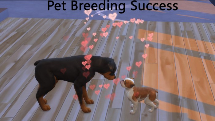 How to get pets sims 4