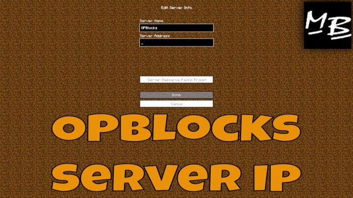 Minecraft ip server
