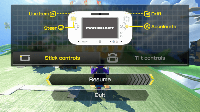 Mario kart wii controls