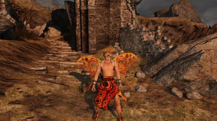 Ds2 moon butterfly set