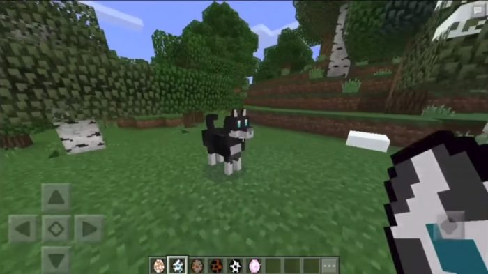 Mod dogs minecraft dog breeds 9minecraft features