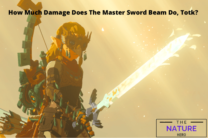 Master sword beam totk