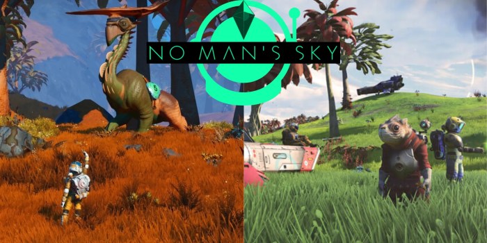 No man's sky 1st person