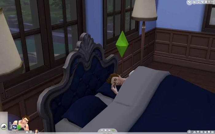 Why can't my sims sleep