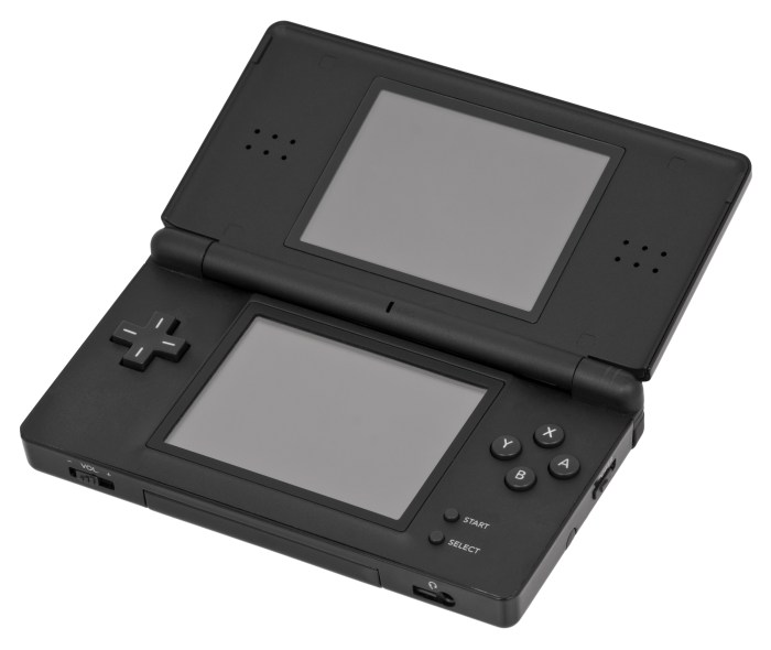 Ds lite screen cover