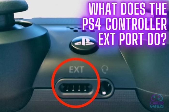 Ps4 ext controller port