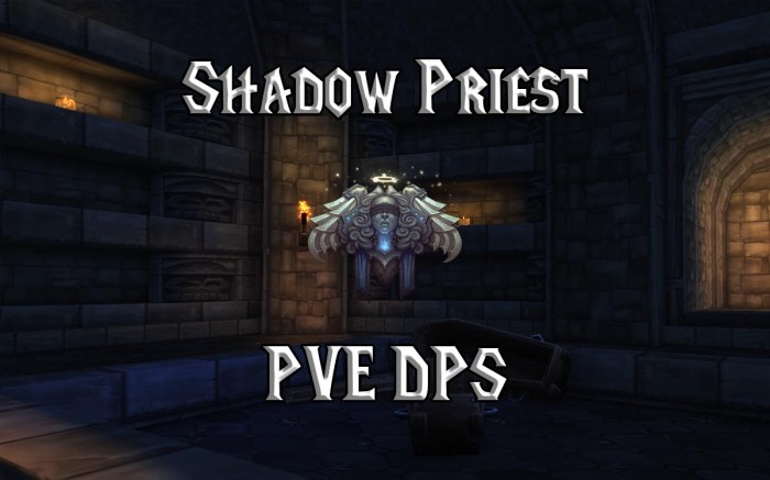 Dps for shadow priest