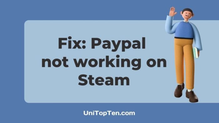 Steam paypal not working