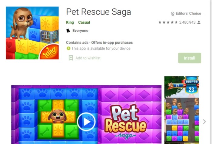 Saga rescue pet level play