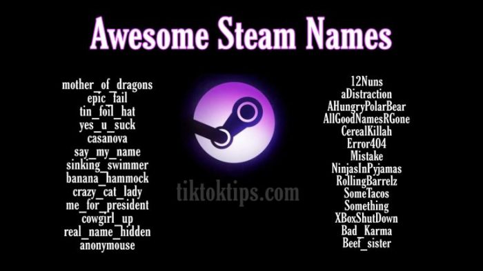 Best usernames for steam