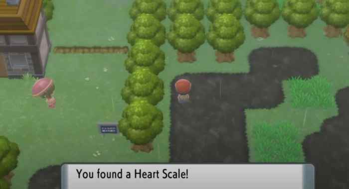 Pokemon y heart scale