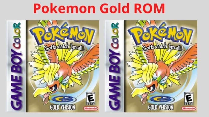 Pokemon fire gold rom