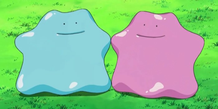 Can you breed two dittos