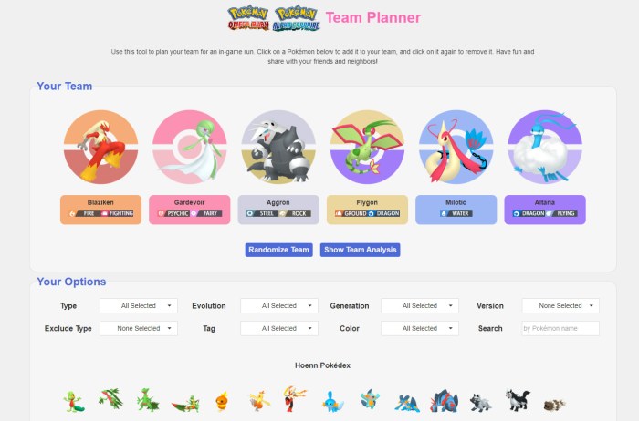 Build your pokemon team