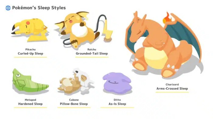 Pokemon sleep level up