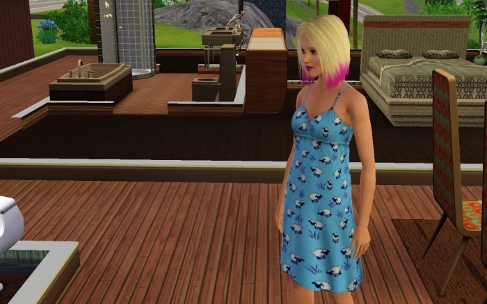 Sims 3 pregnant sims