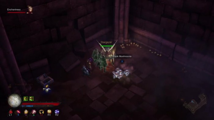 Diablo mushrooms file size