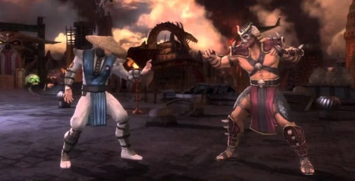 Raiden vs shao kahn