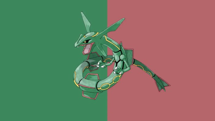 Rayquaza slashgear