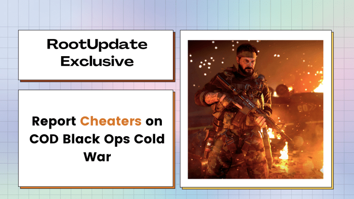 Cod cold war cheaters