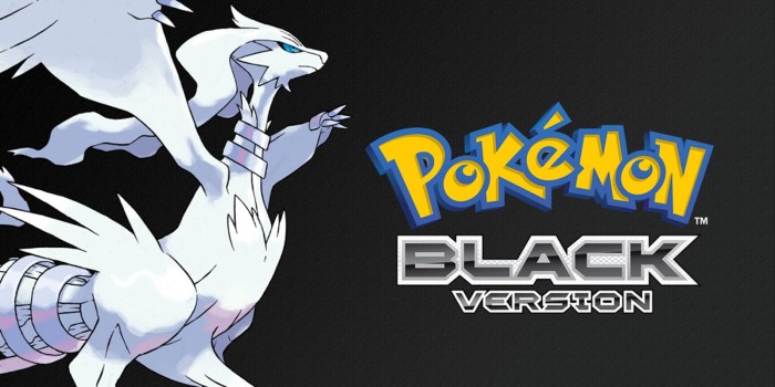 Black x white pokemon