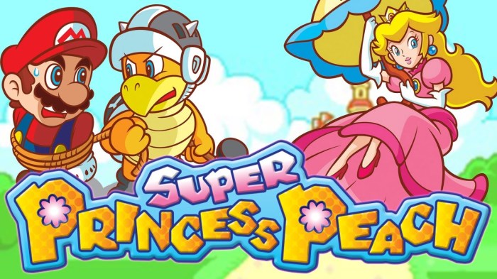 Peach princess super ds rule box nintendo japanese caravan ピーチ game japan プリンセス スーパー mario nds deviantart rom r34 cdromance