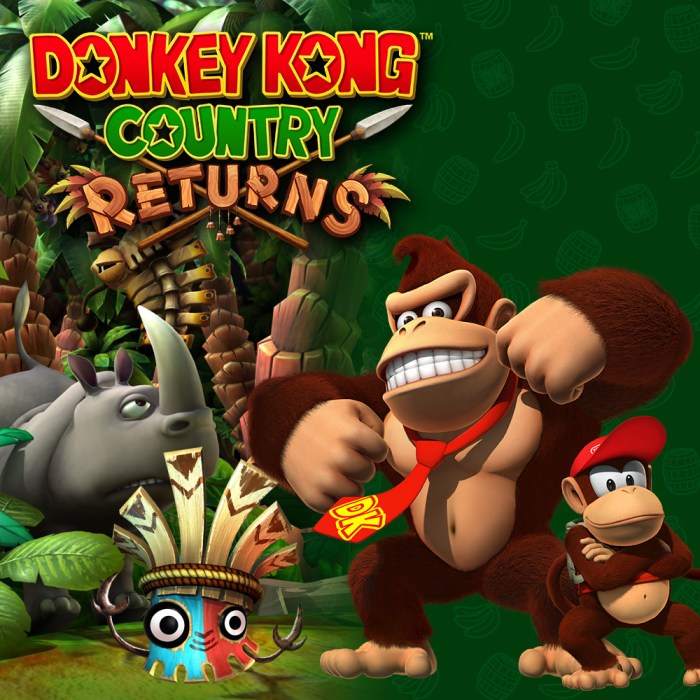 Donkey kong on the wii