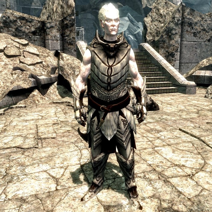 Skyrim snow elf armor