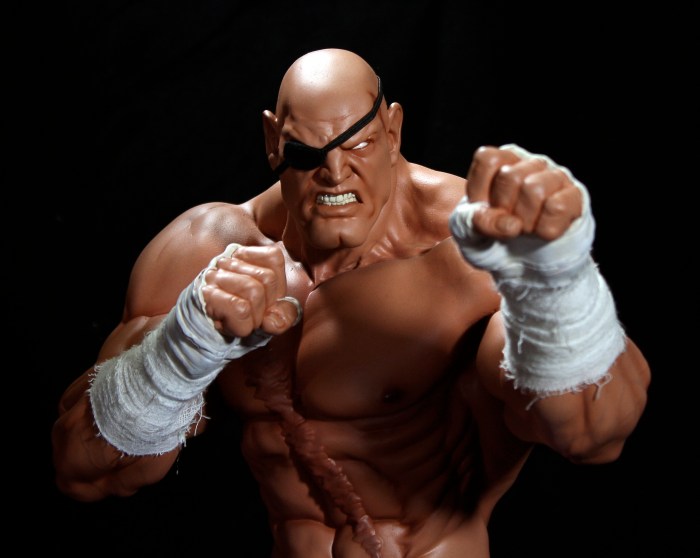 Sagat fighter street