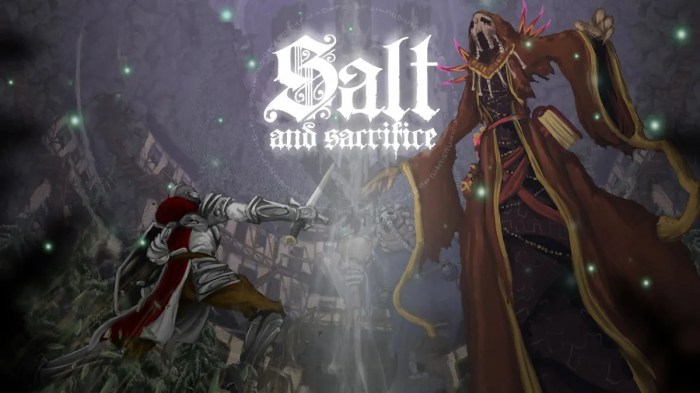 Salt and sanctuary coop