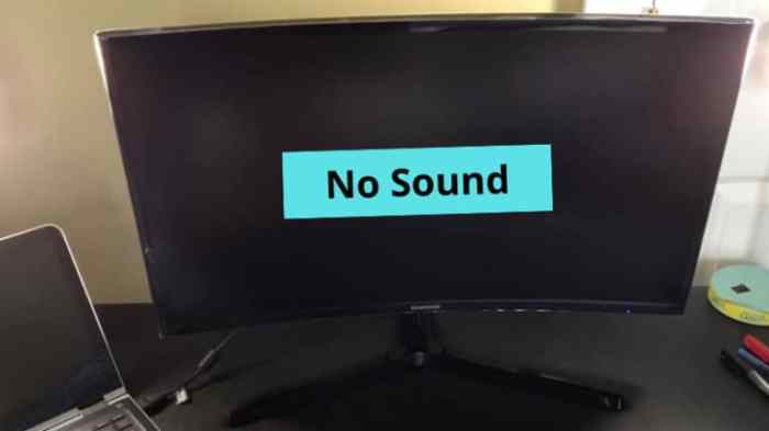 No sound from monitor