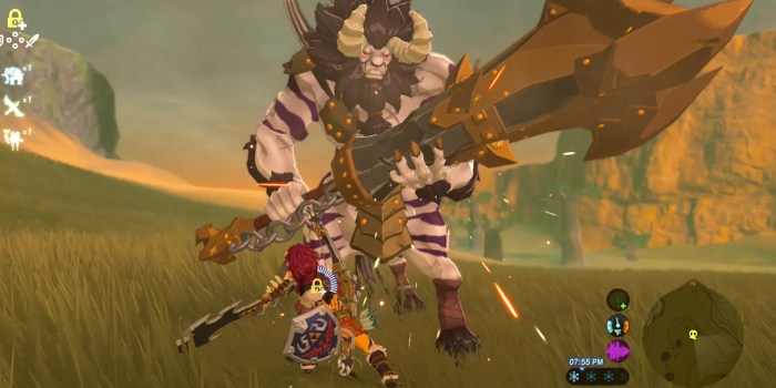 Silver lynel blade totk