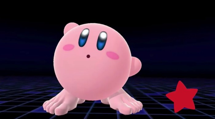 Does kirby wear shoes