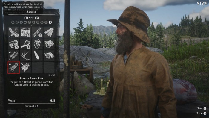 Can you store pelts rdr2