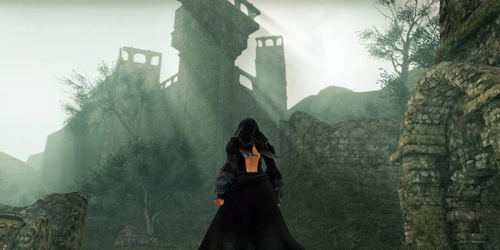 Dark souls 2 shaded woods