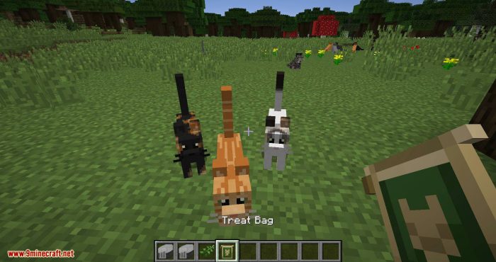 Cat mods for minecraft