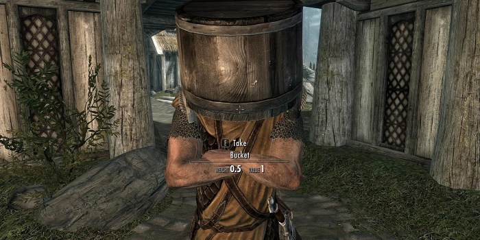 Trouble in skyrim bugged