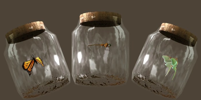 Insects in jars skyrim