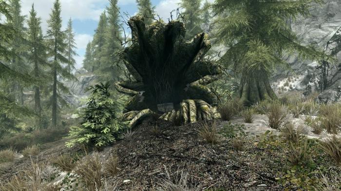 Skyrim treasure map 1