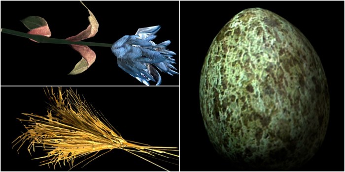 Rock warbler egg skyrim