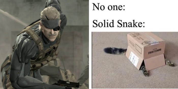 That's not solid snake