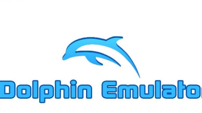 Dolphin emulator speed up