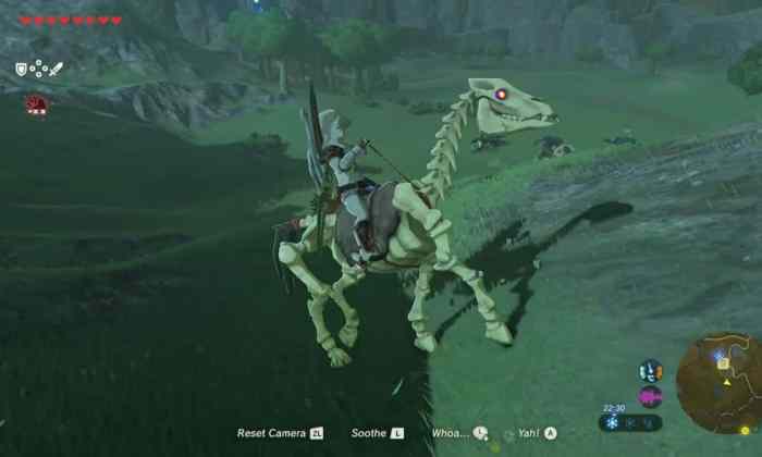 Botw