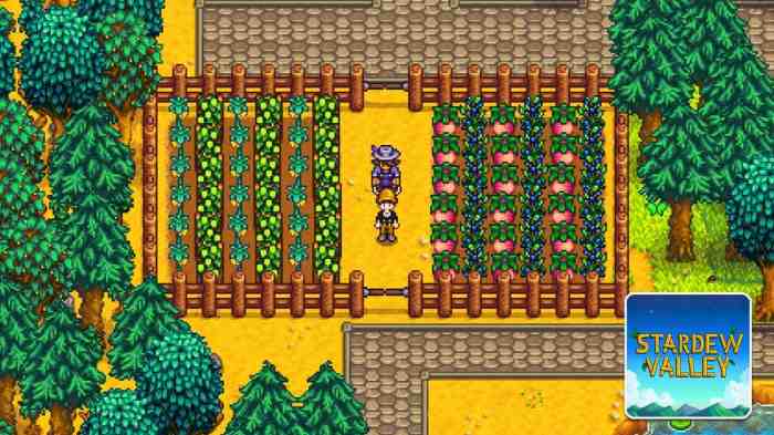 Stardew valley crop summer efficient guide