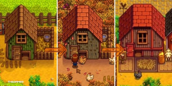 Big coop cost stardew