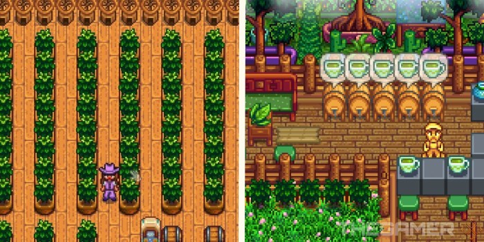 Tea tree stardew valley