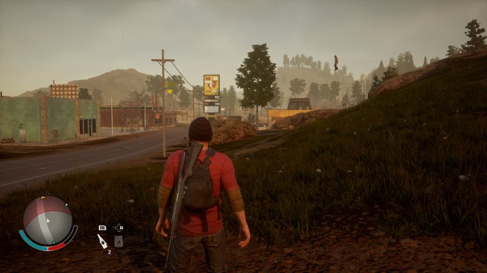 State of decay switch