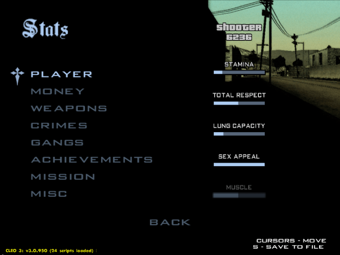 Gta san andreas stats