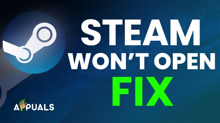 Steam won't go online