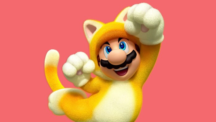 Mario 3d world cat suit